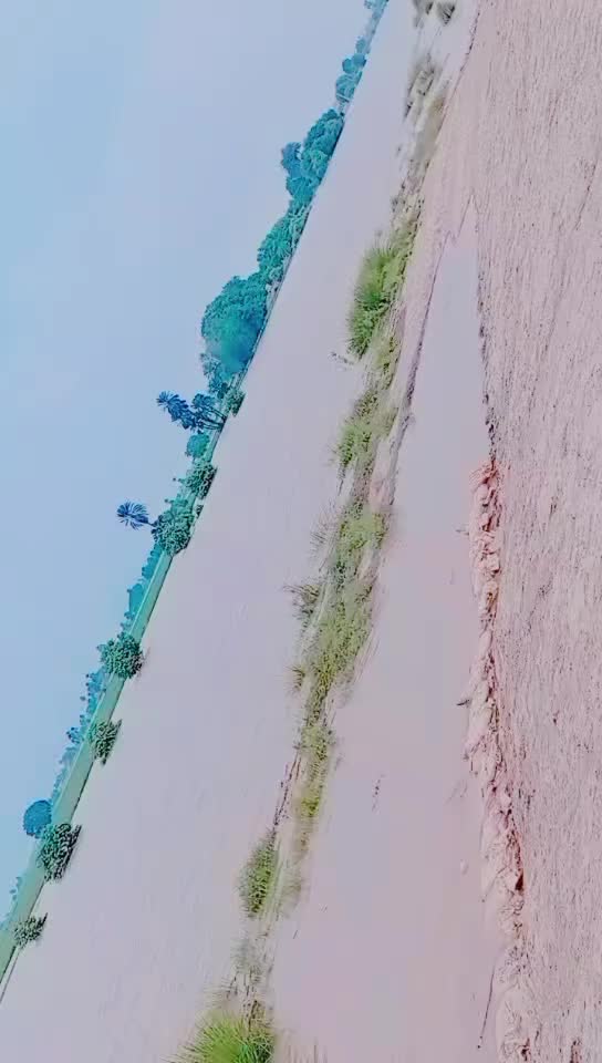 @⚘️ بجلی ☘️