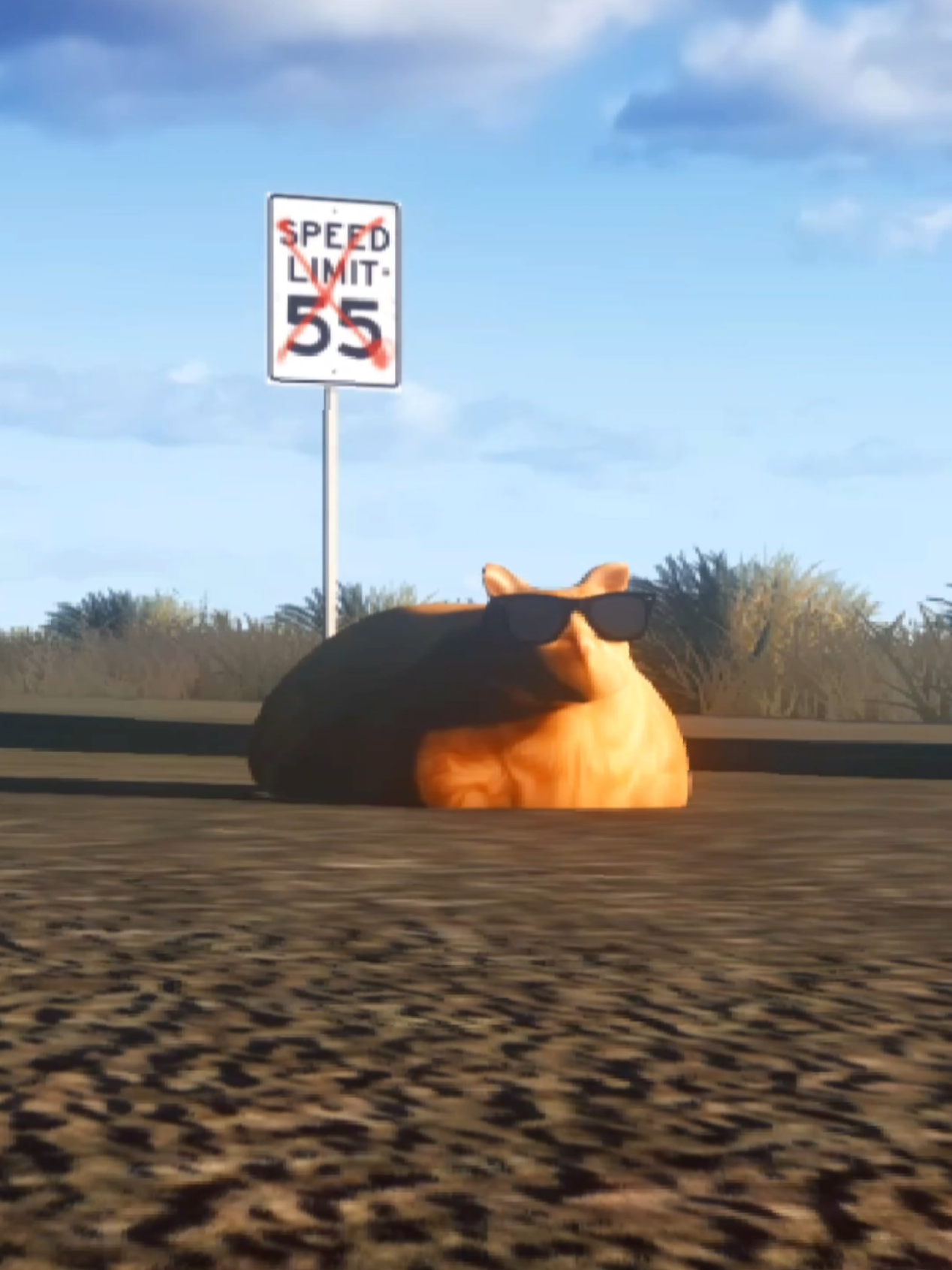 @Pablo the Race Cat