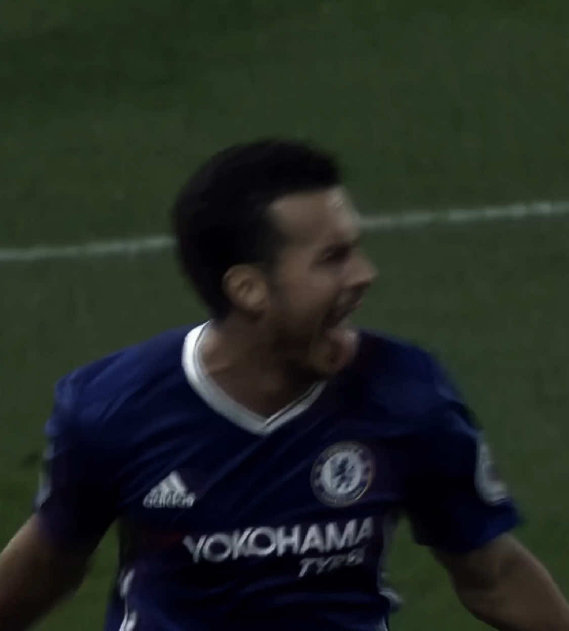 @cfctheo
