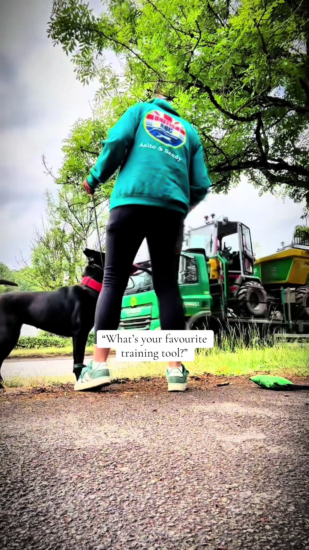 @Valleys Dog Training