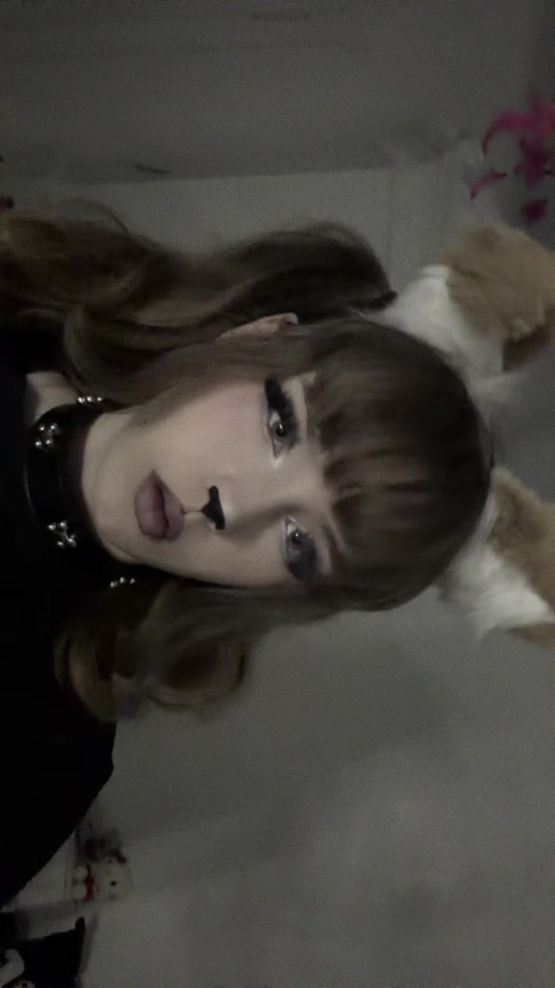 @kemonomimiheaven