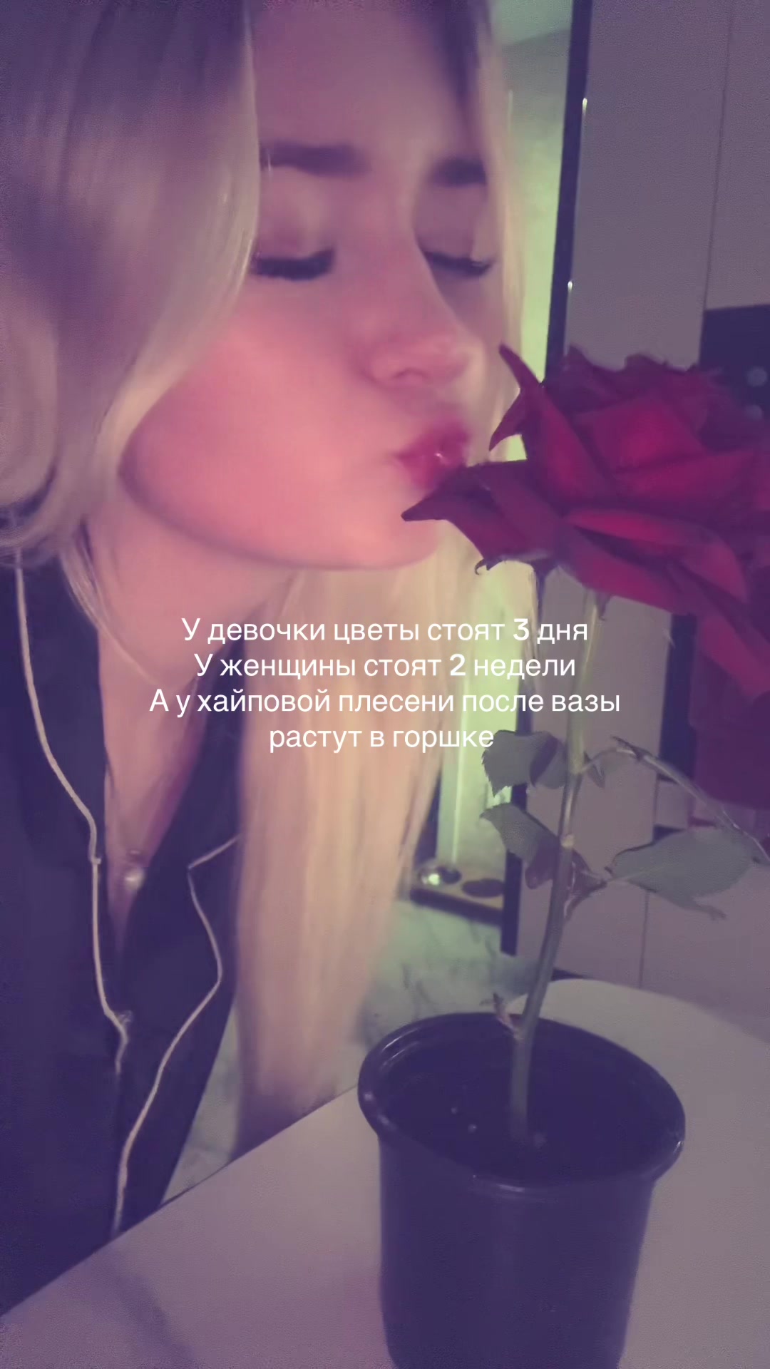 @𝓢𝓪𝓯𝓪𝓵𝓲𝓷
