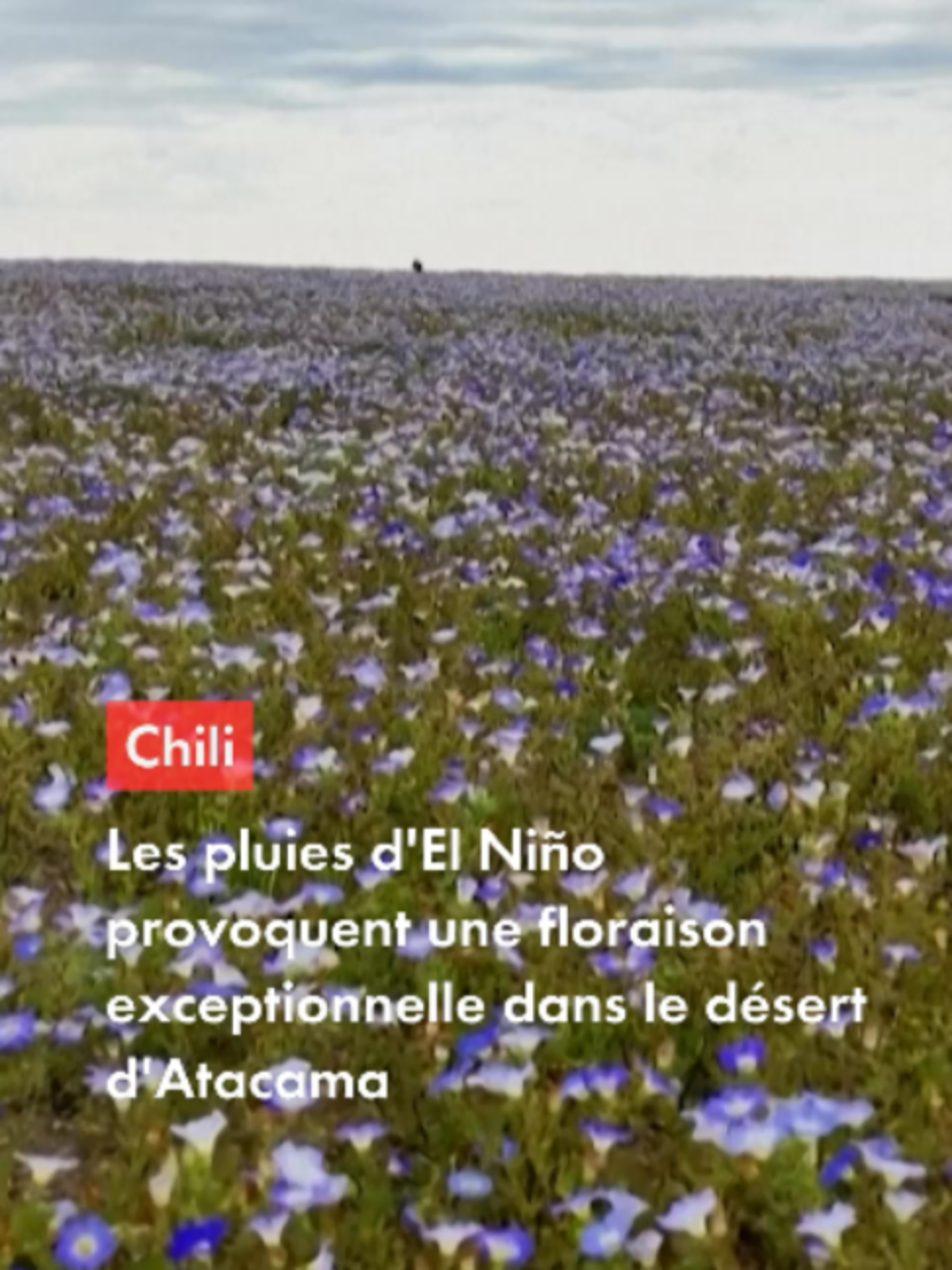 @CNEWS