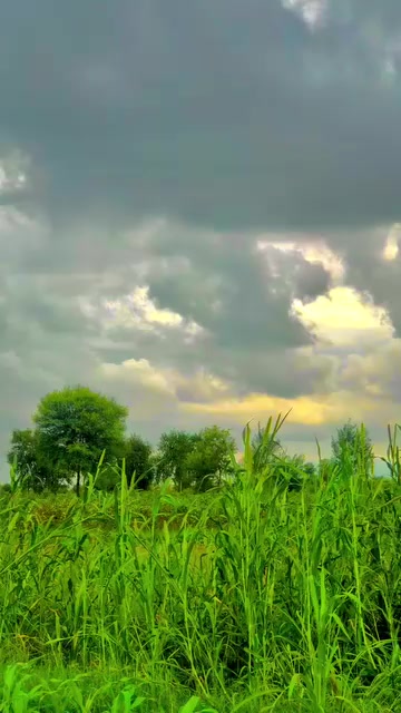 @Irtaza 267