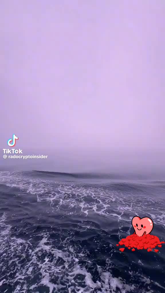 @aleksandar
