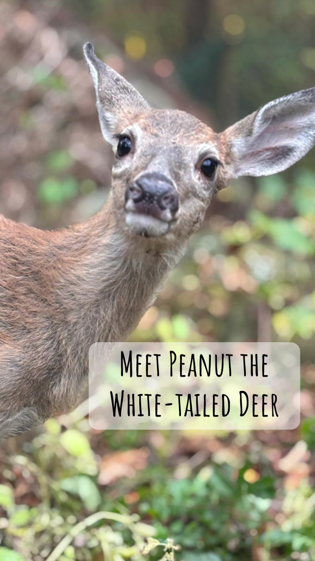 @HowellNatureCenter