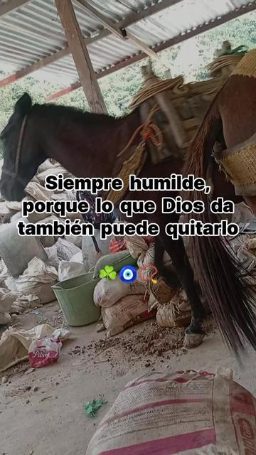 @🇻🇪Roximar❤️ García 🇻🇪