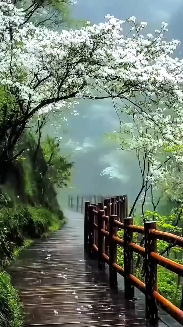 @࿇𝕸࿇