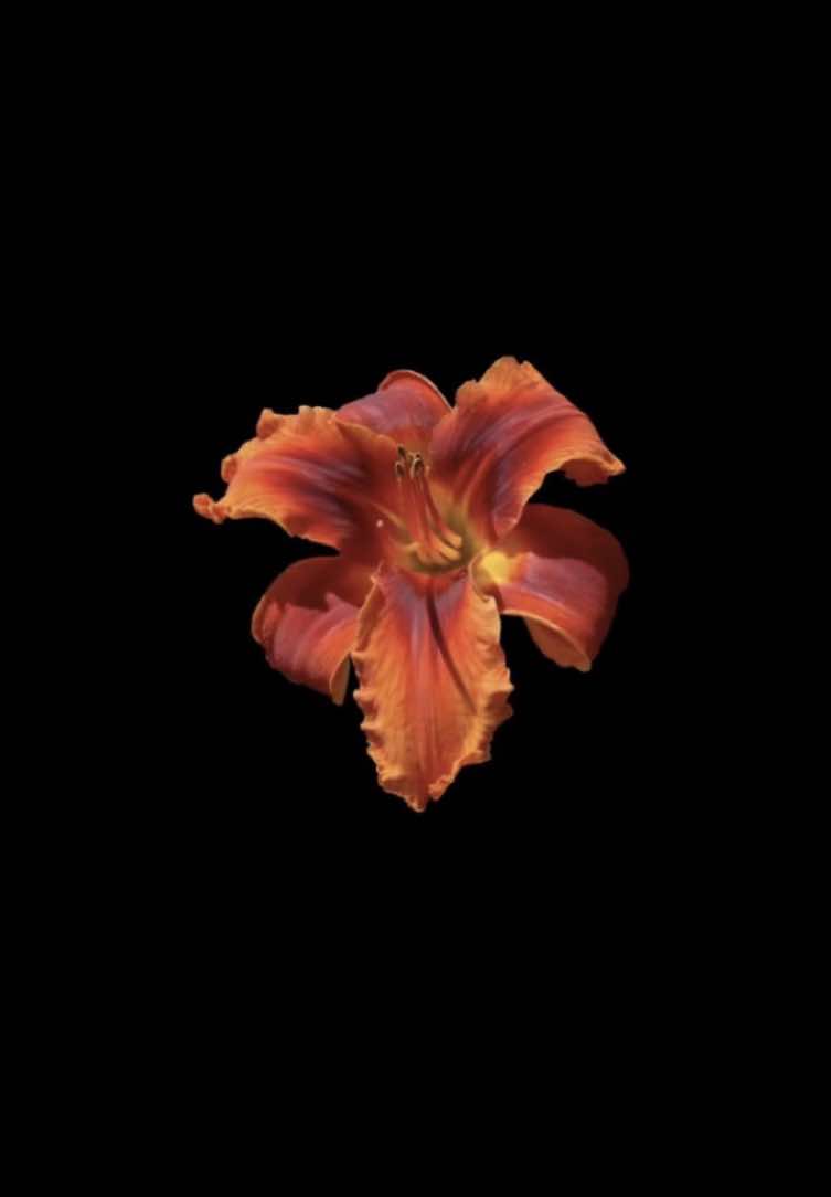 @𝐏𝐨𝐥𝐚'𝐒.𝐬𝐥𝐨𝐩❀