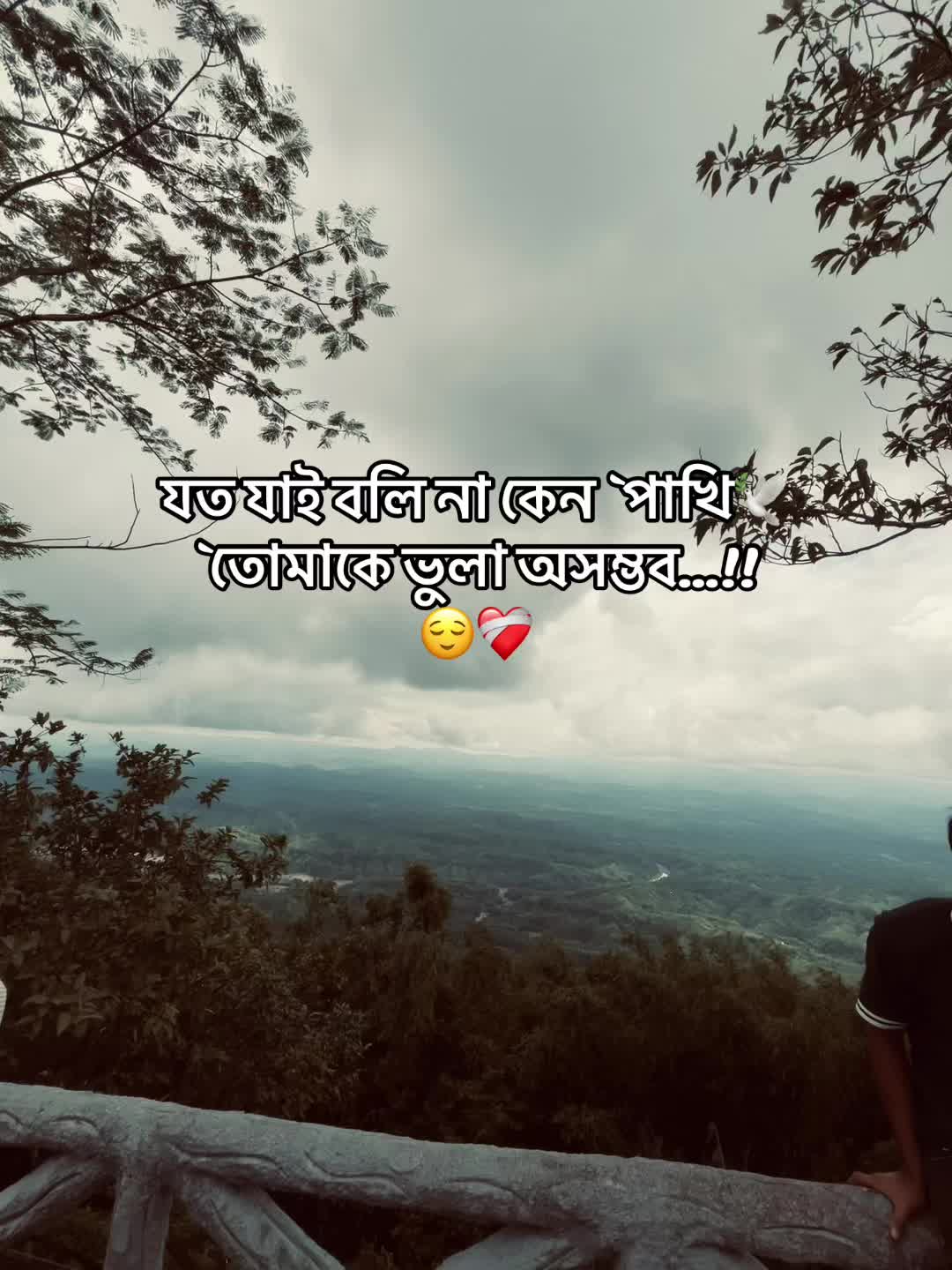 @N.Arsaful