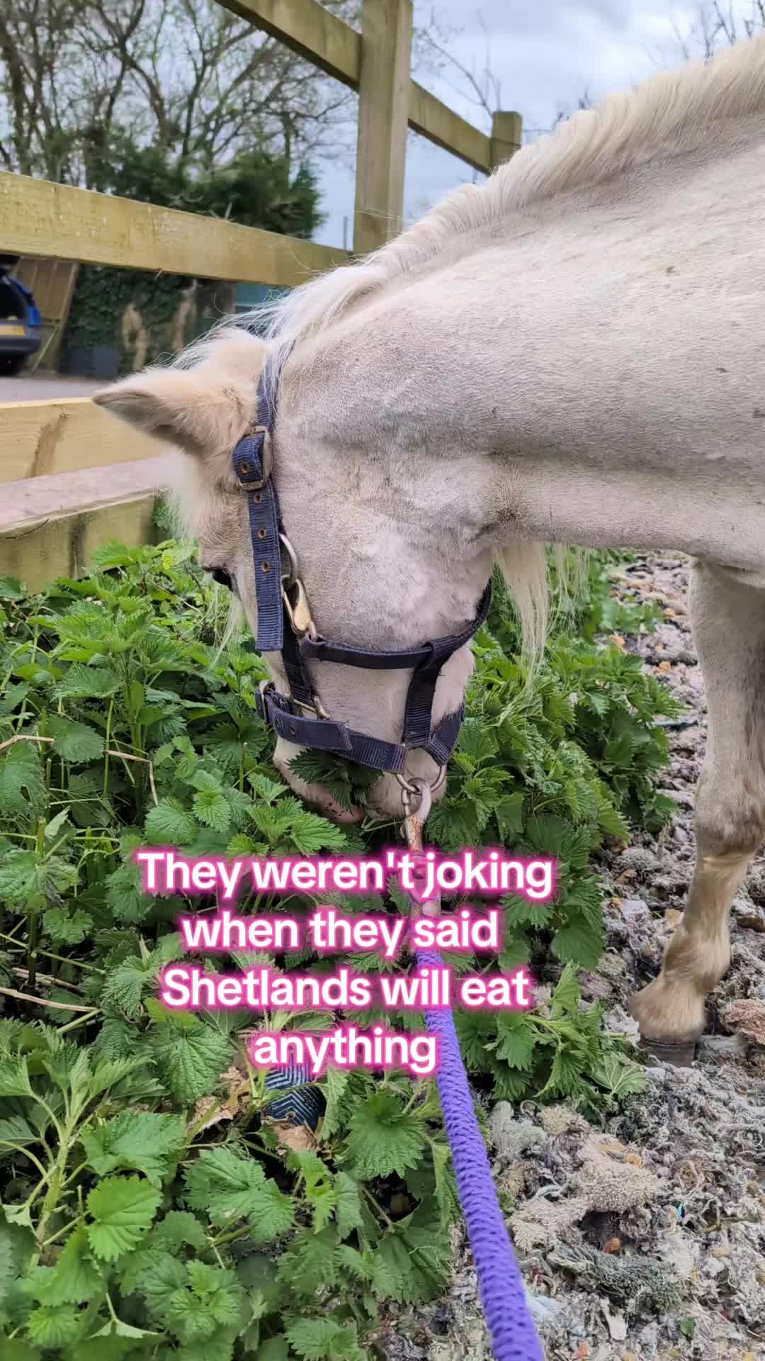 @The.Unstable.Stables