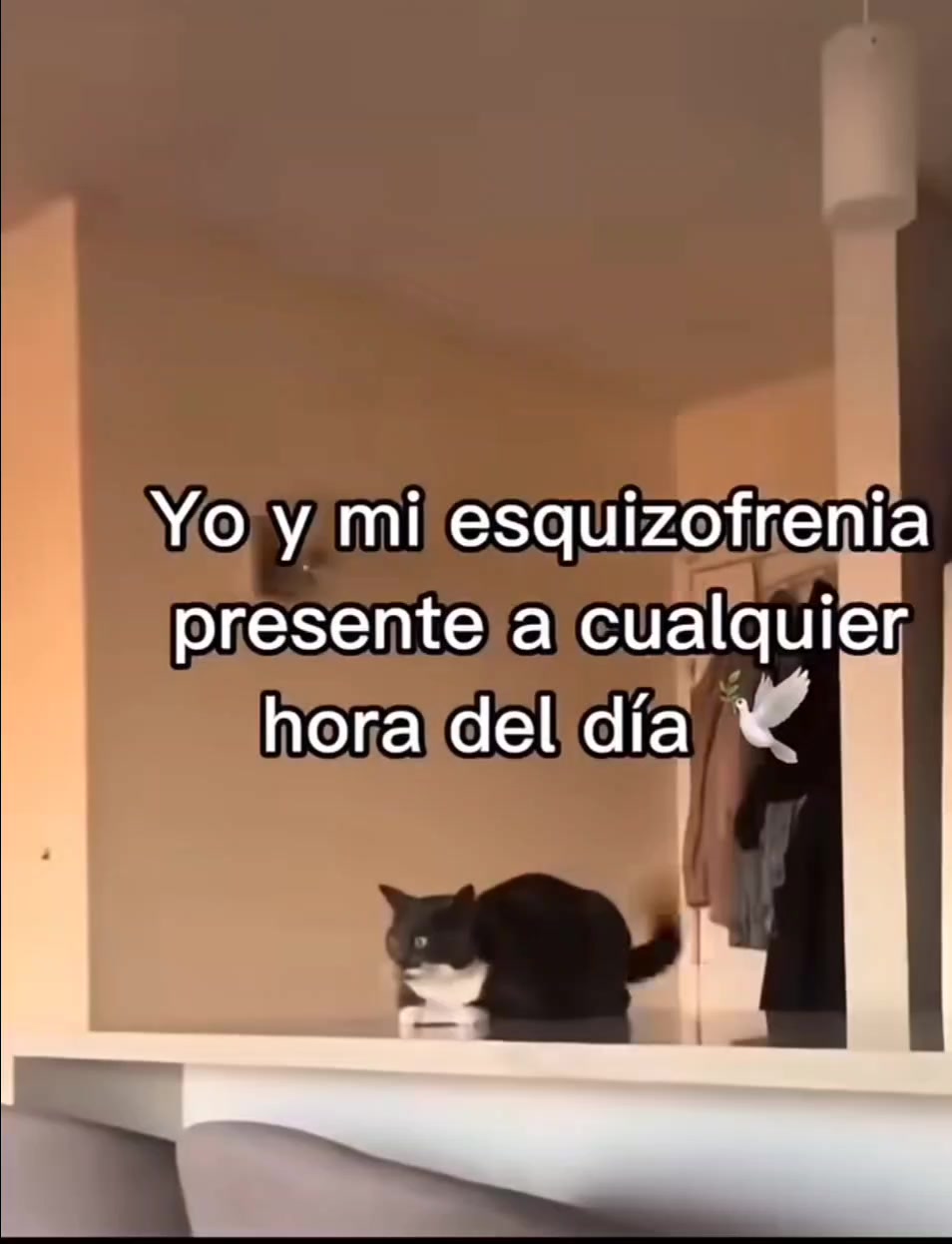 @varcan❤️