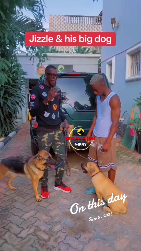 @Dog Master