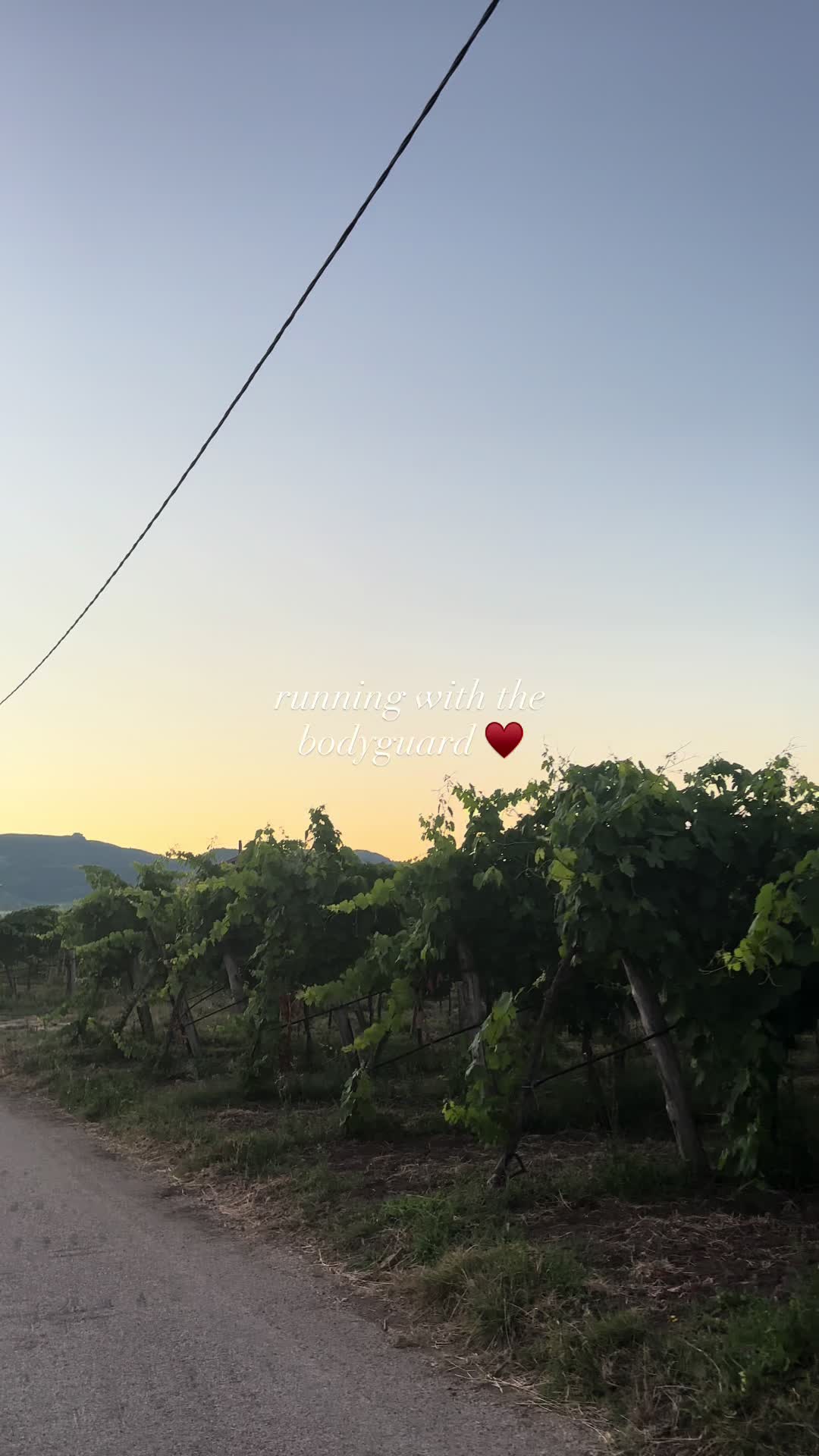 @rose🍓