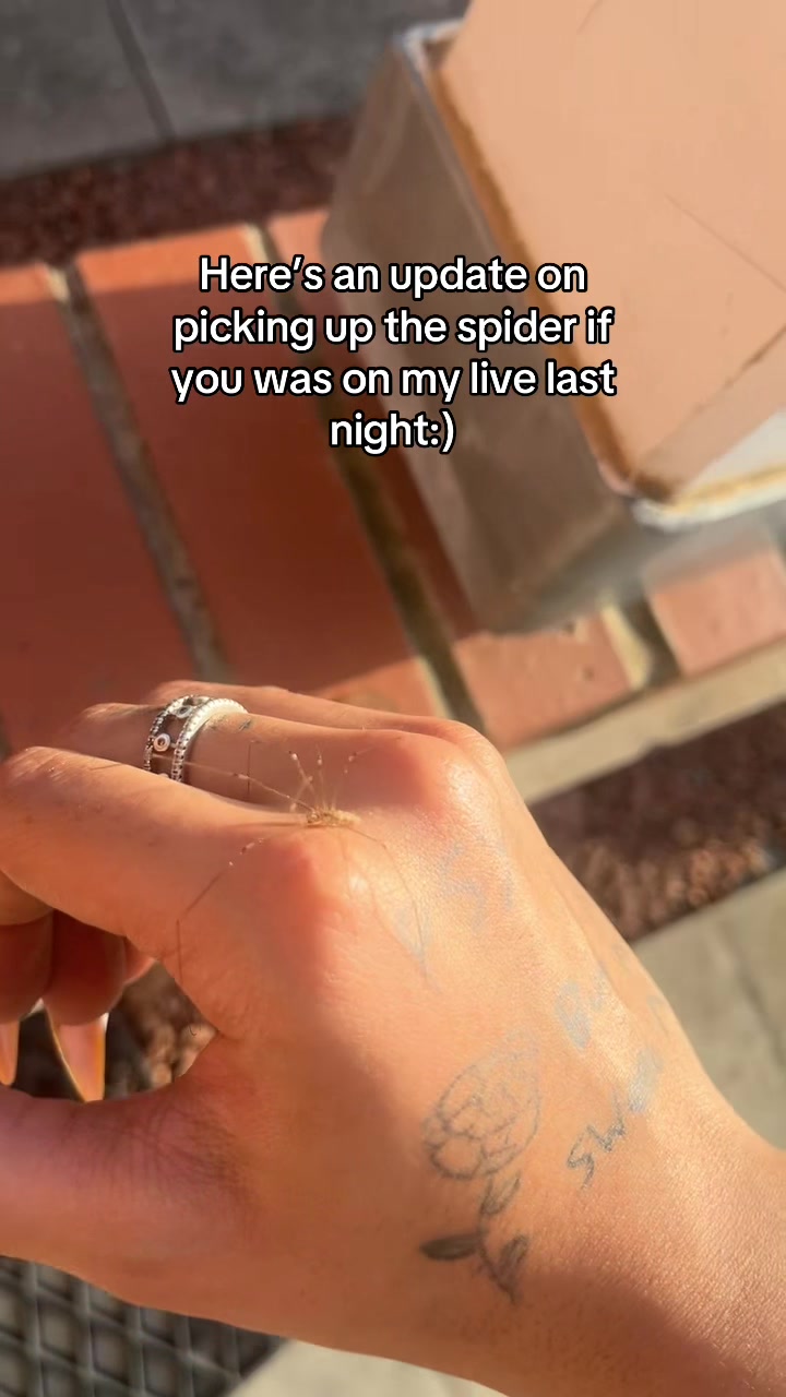 @MissGhost🥀