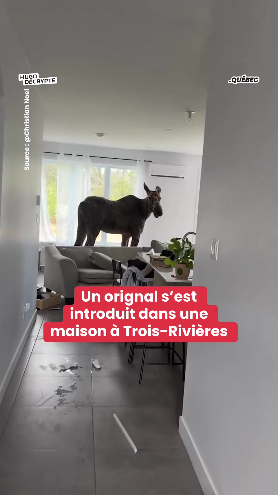 @hugodecrypte.quebec
