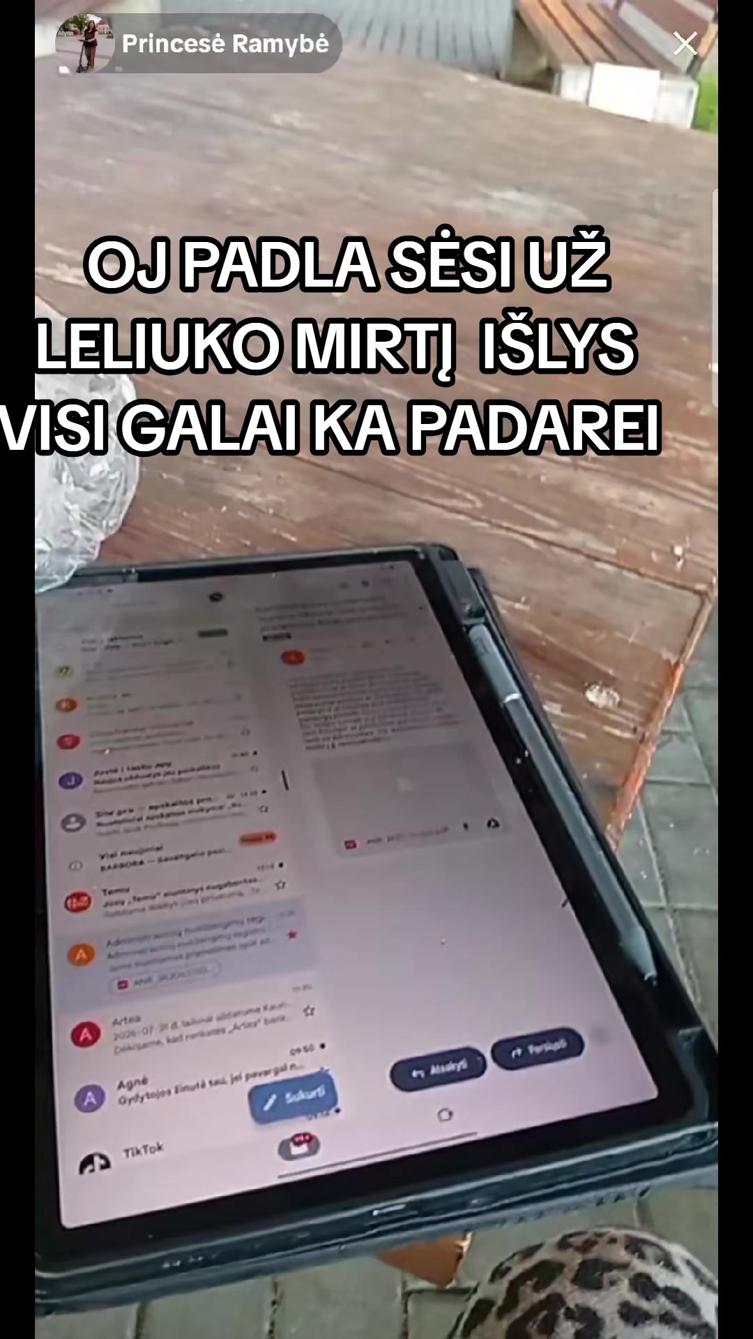 @RAUDONA🍓BRA&Scaron;KĖĖĖ🍓