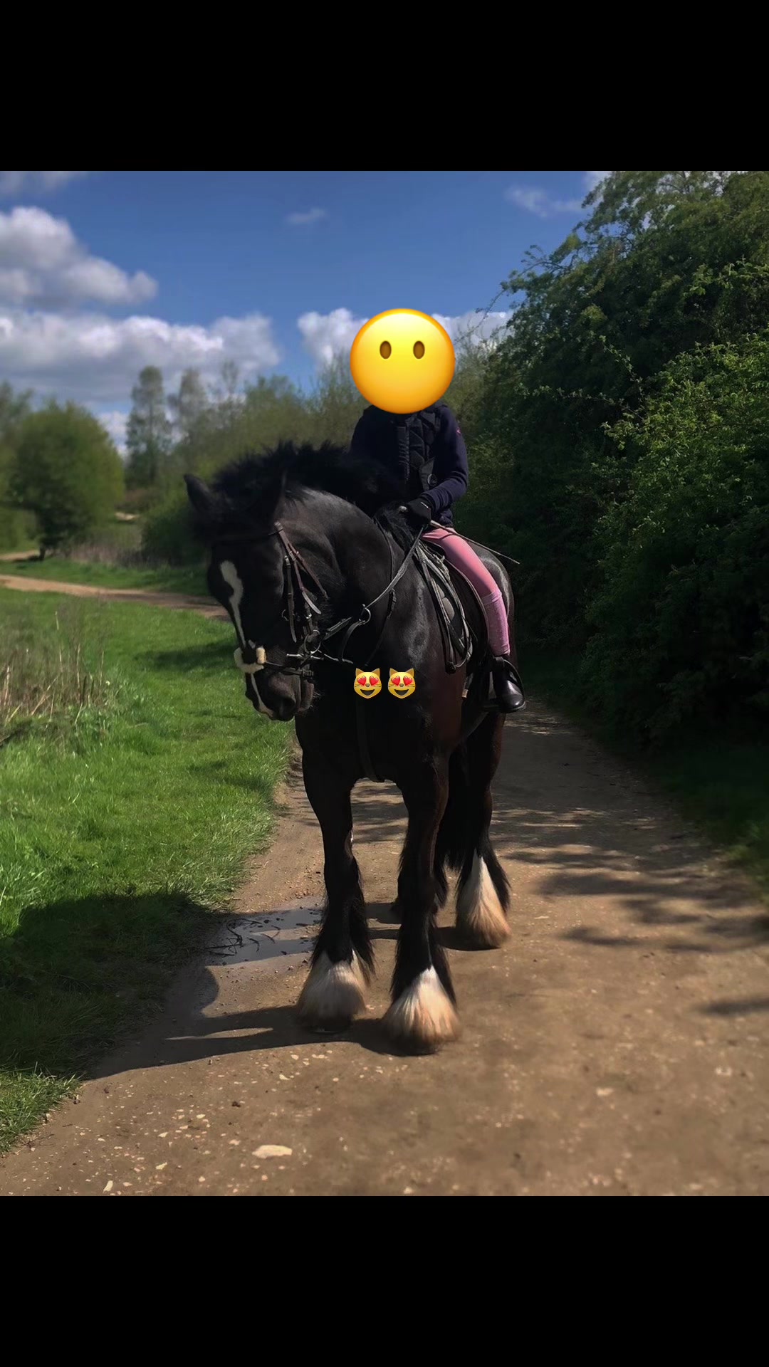 @LottiesHorseAdventures🦄🐴