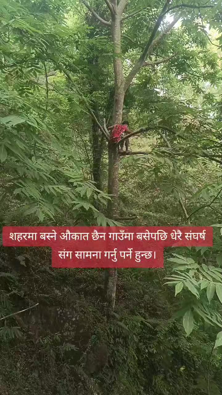 @Bishal Pun✅
