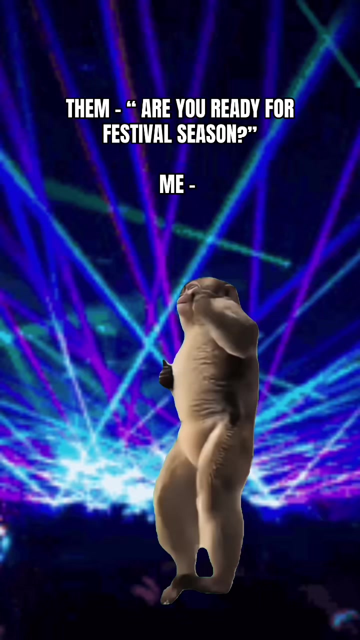 @RaveTours