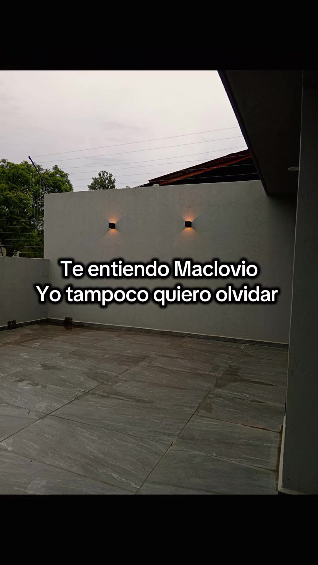 @yulizita🍒