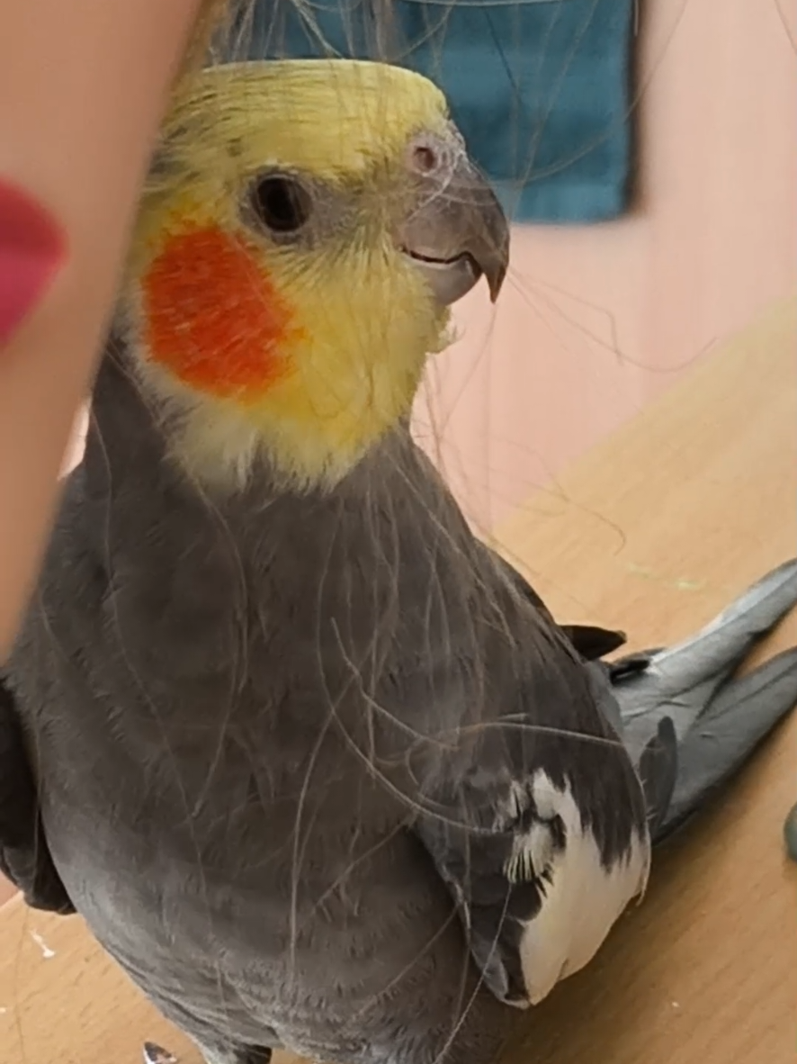 @🐦Eva Maria Vráblíková 🐕