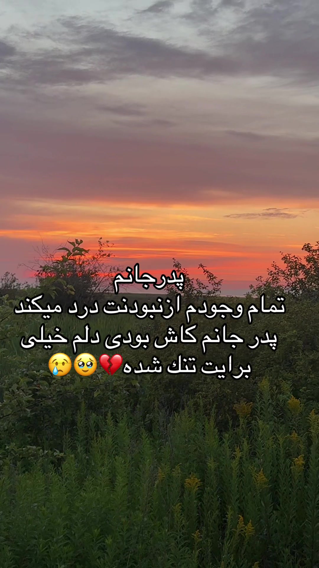 @Sohaila