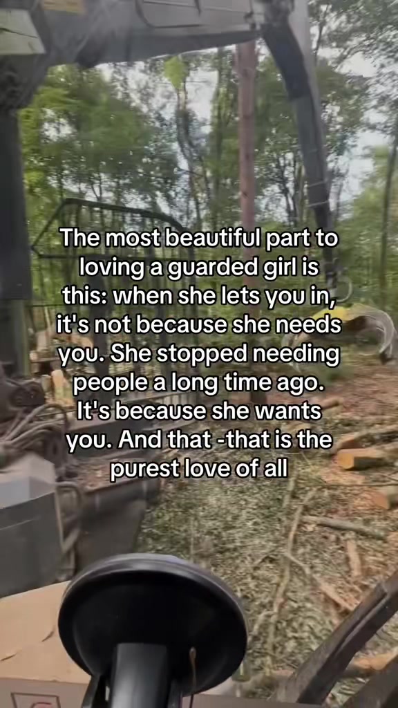 @🌲chase🌲