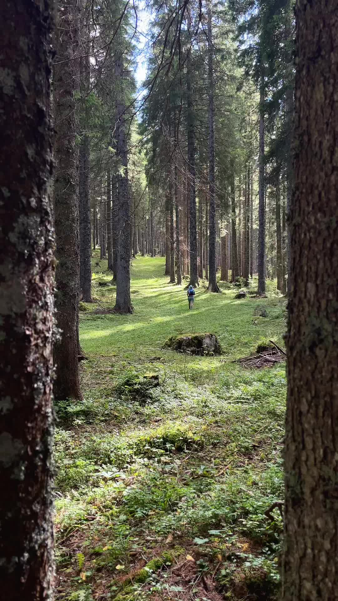 @tundrrv