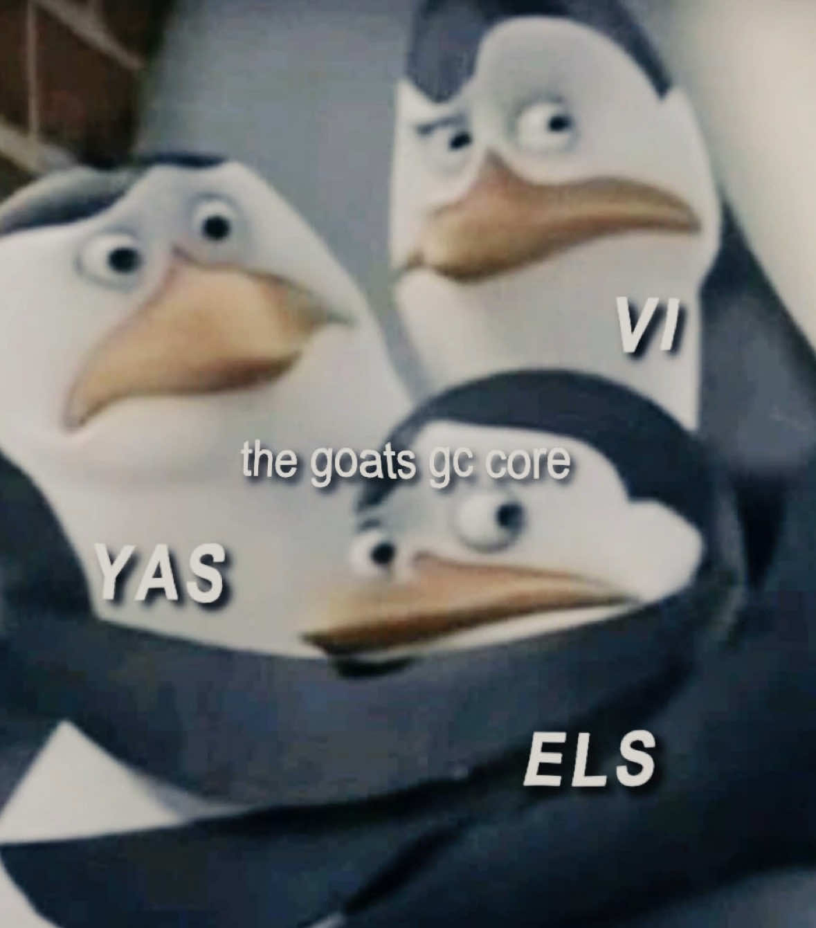@ellie