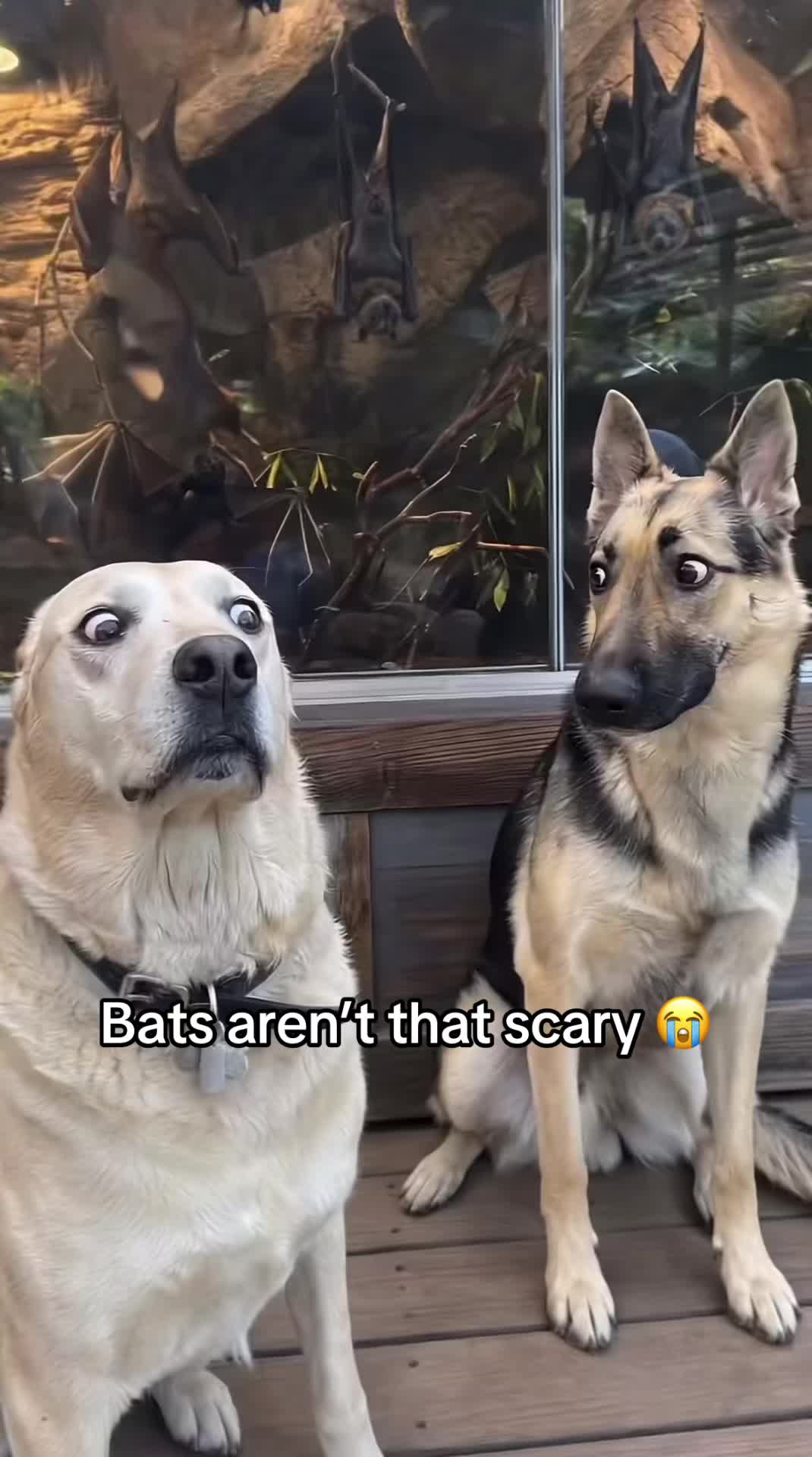 @Tim