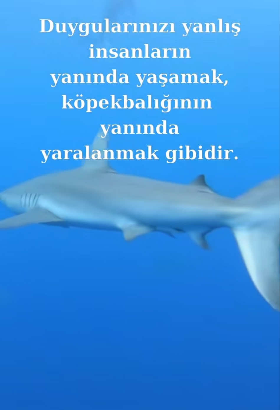 @yaseminguney