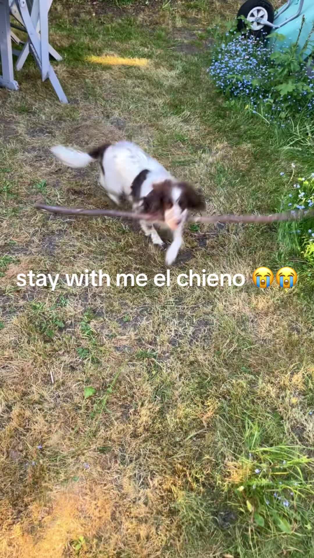 @yapneb