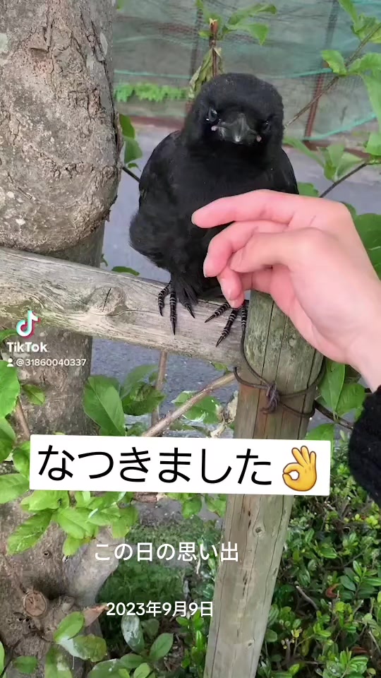 @ひろし❗️