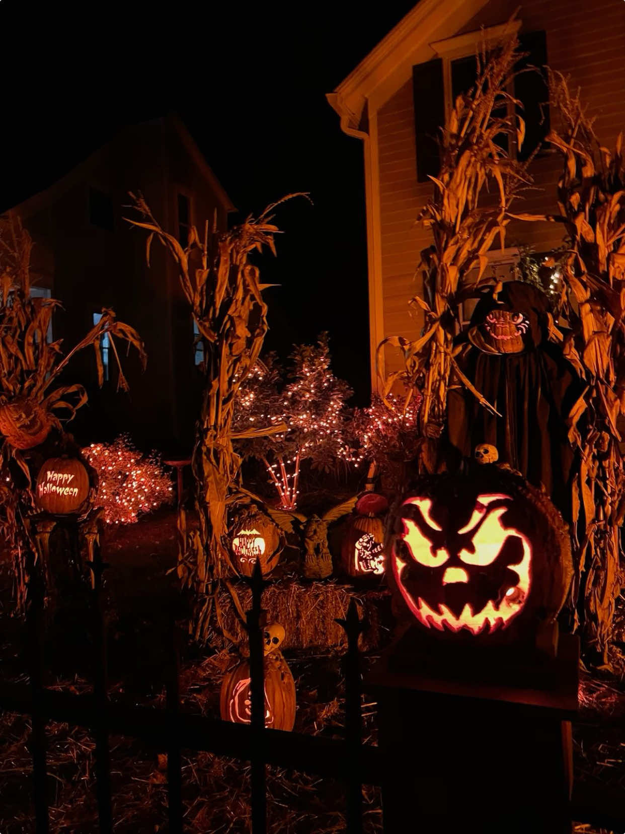 @🎃𝕽𝖆𝖈𝖍𝖊𝖑🦇
