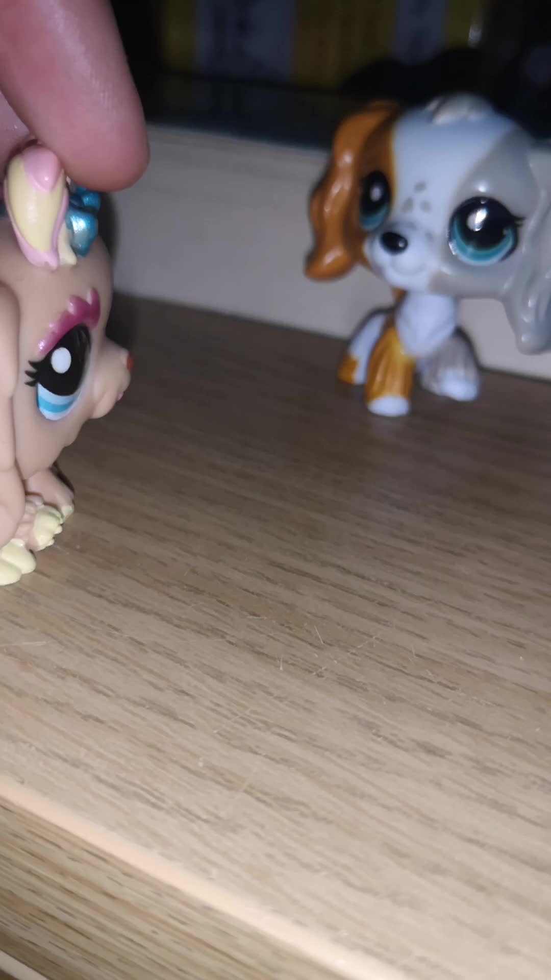 @Lps collecter🌺