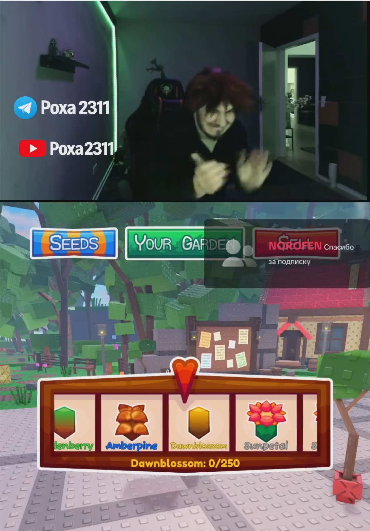 @poxa231