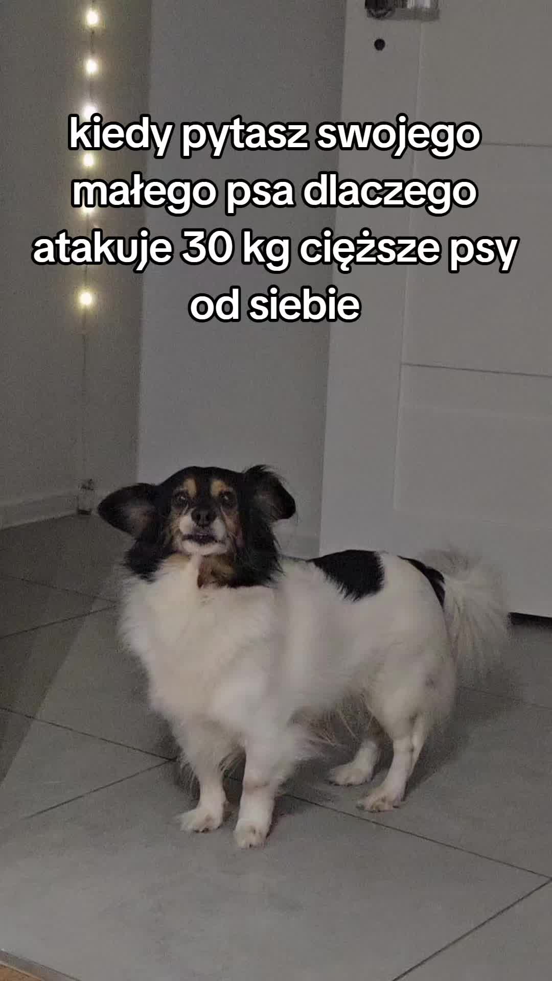 @ᴛʀᴀꜰᴀʟᴏᴠᴀ