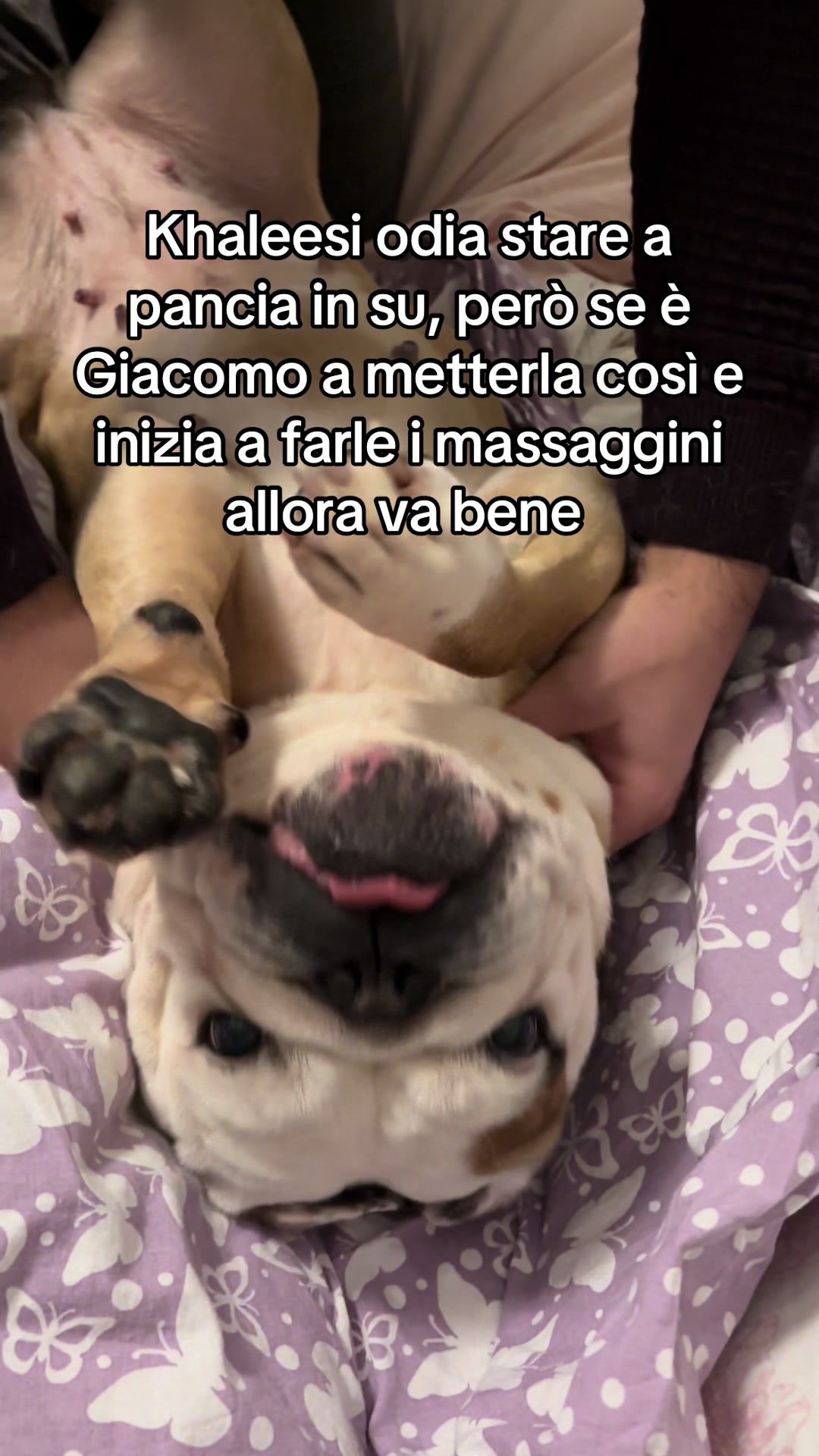 @Lucrezia Bernazzani