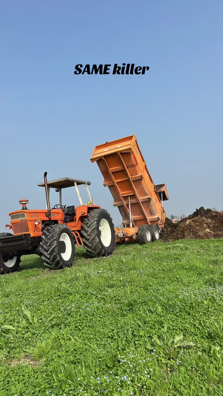 @Mirko Farmer