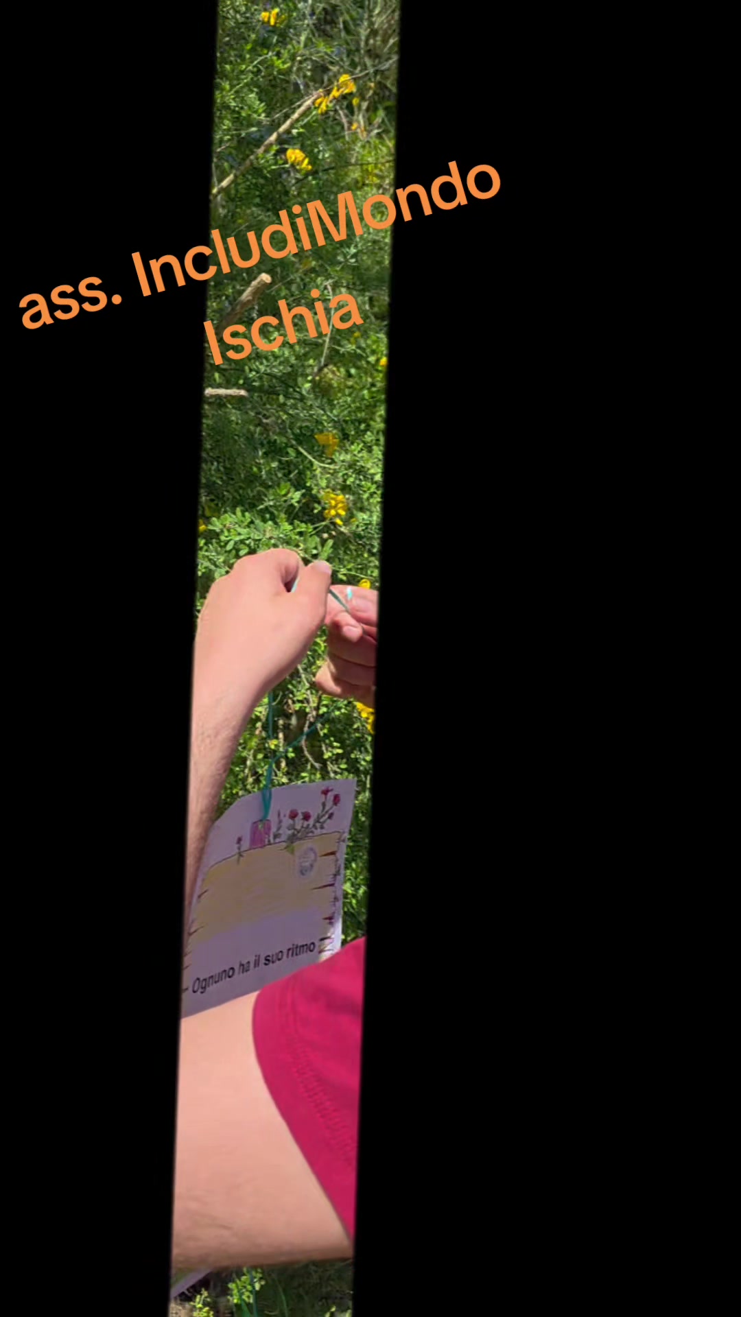 @Annalisa-Golosidibont&agrave;
