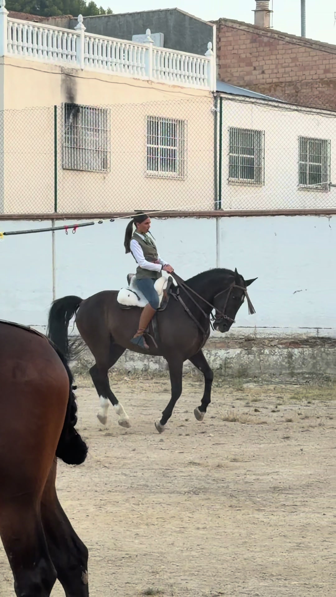 @Sandra Molina🐎🇪🇸