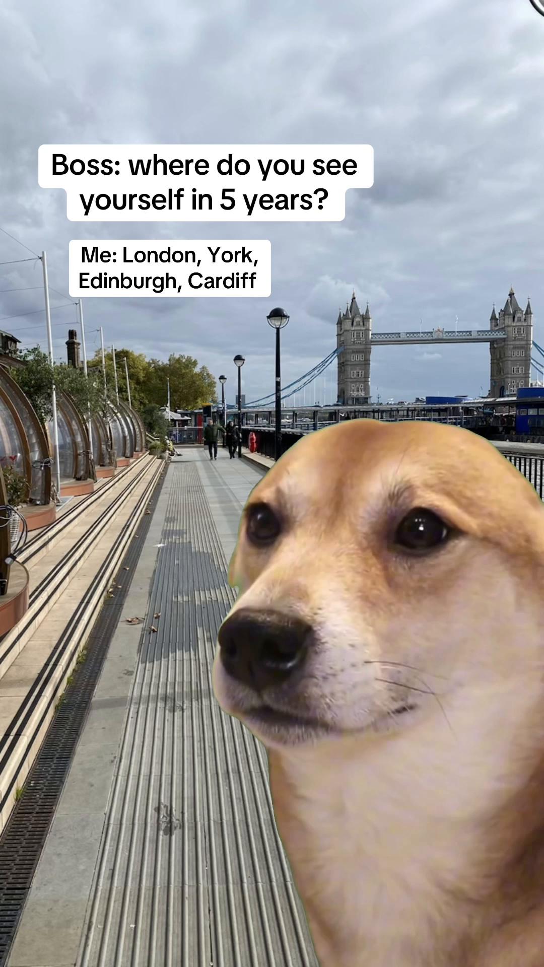 @rohan.londonyaar