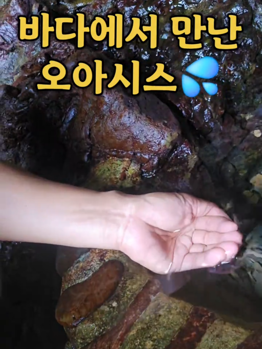 @❄️개그맨김주철●섬총각●💠🇰🇷🔝
