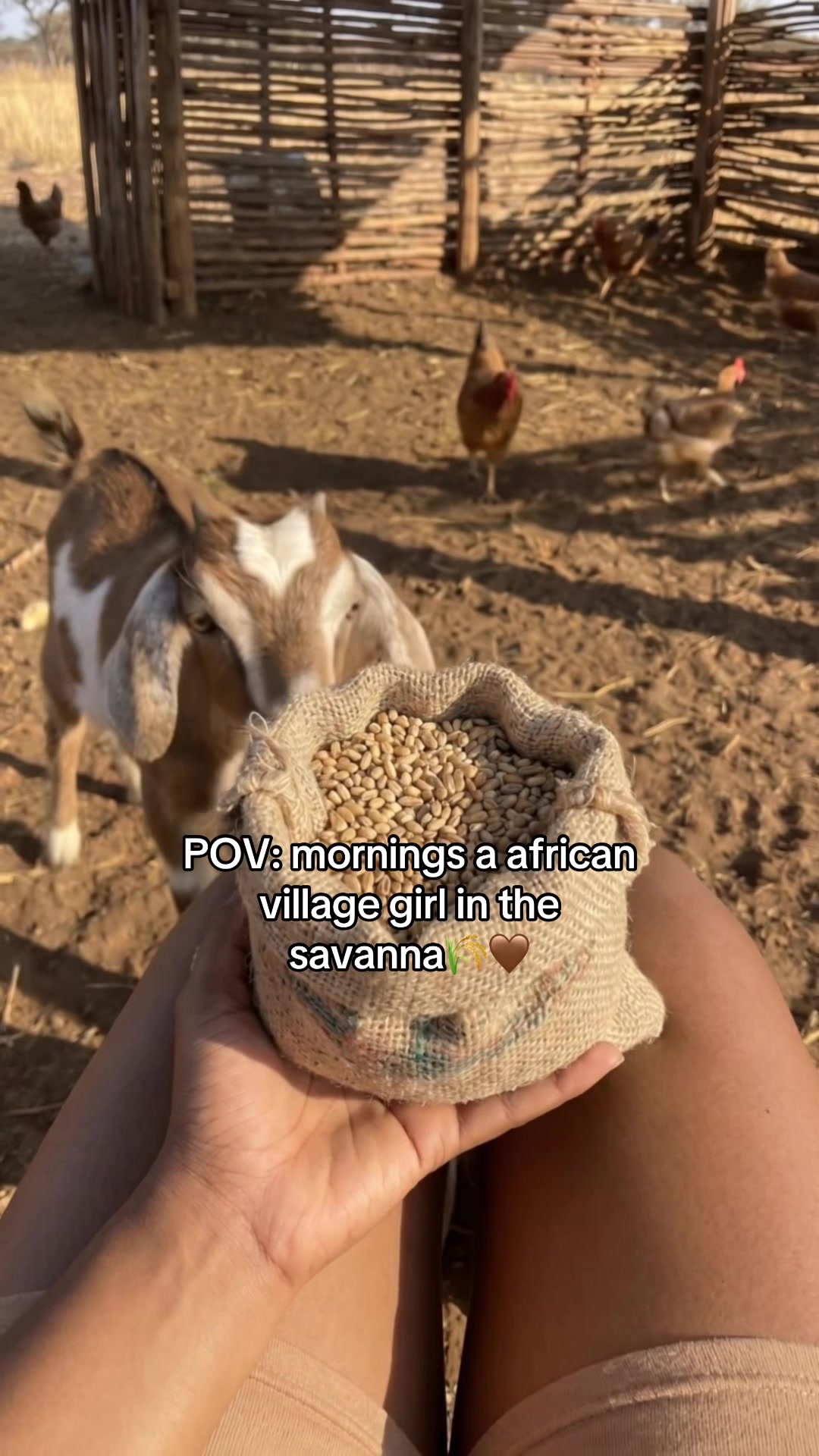 @Zuri Kamau
