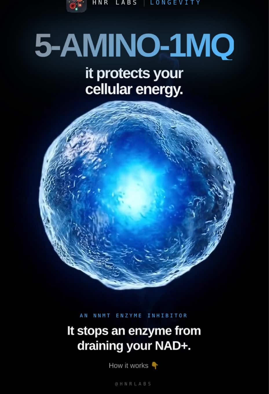 @HNR Labs