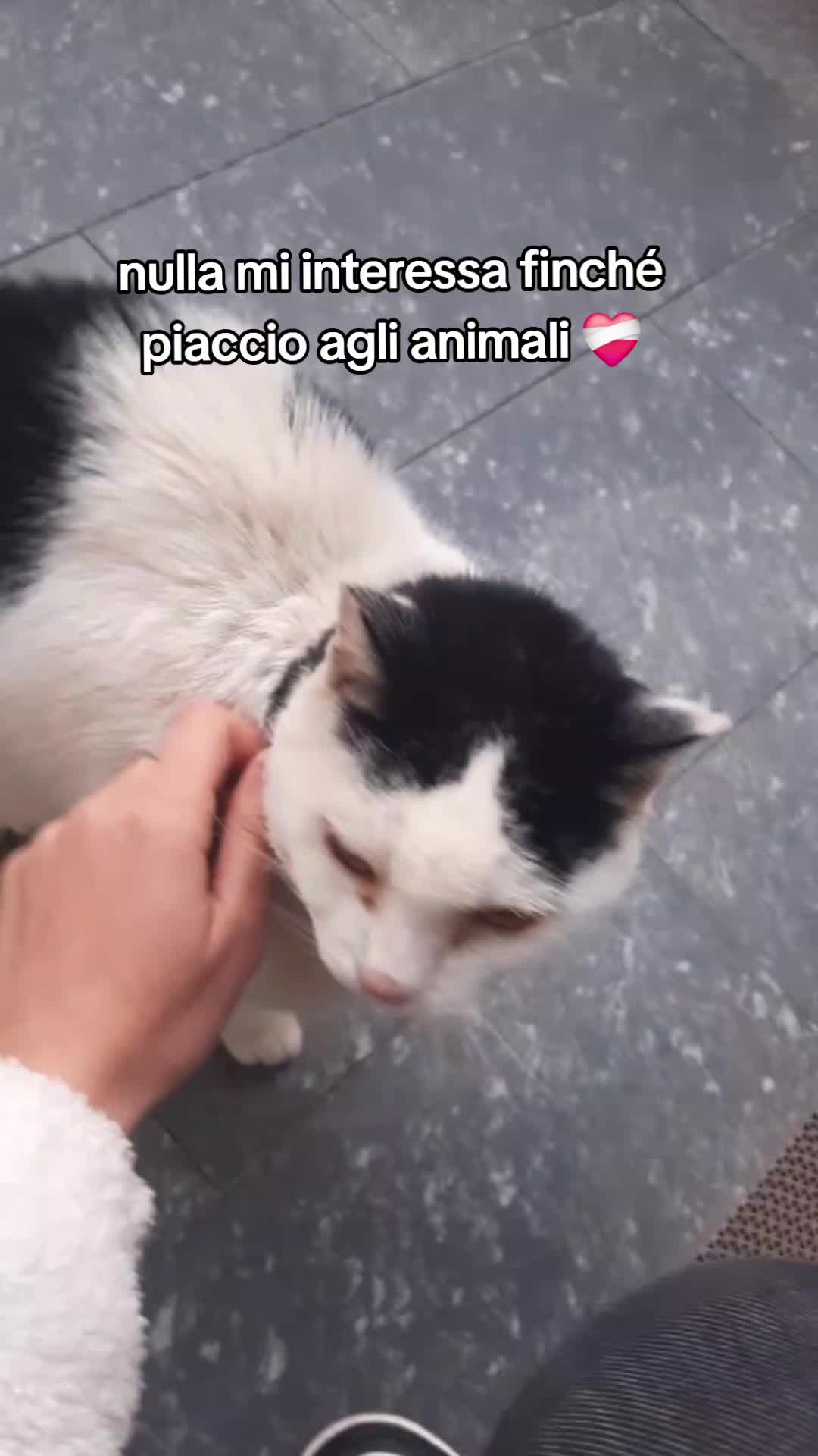 @Patrizia 🧚🏻♀️