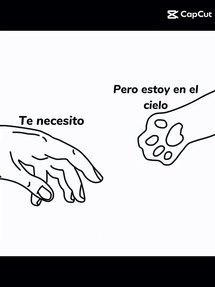 @MarySal ✨🤍