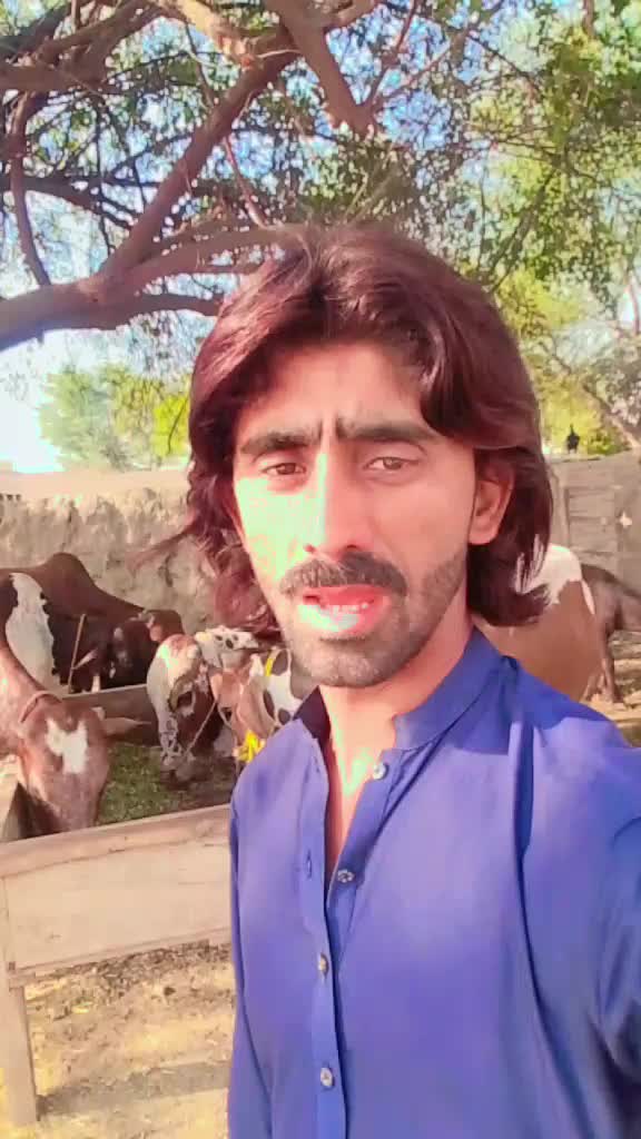 @Usman Dogar Pinda ayla