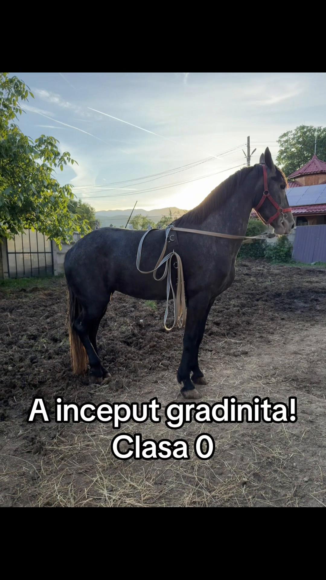 @Emanuel Slevas